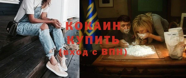 шишки Лагань