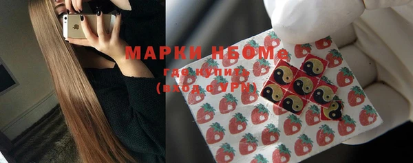 молекула духа Лабытнанги