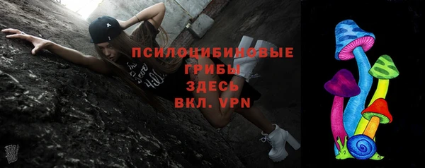 молекула духа Лабытнанги