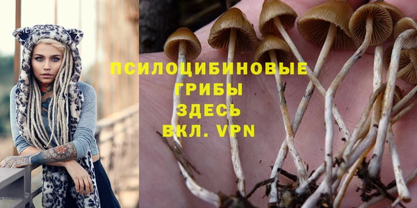 молекула духа Лабытнанги