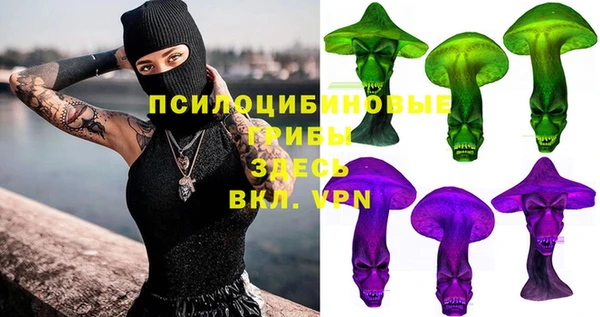 шишки Лагань