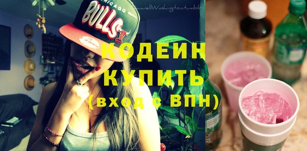молекула духа Лабытнанги