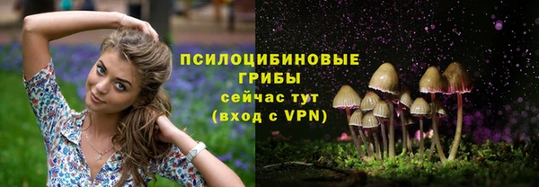 молекула духа Лабытнанги