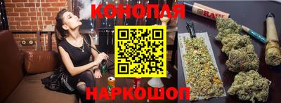 шишки Кинель