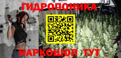 СК Кимры