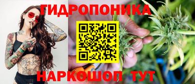 СК Кимры