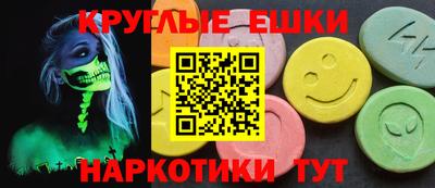крисы Кингисепп