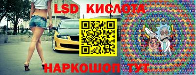 крисы Кингисепп