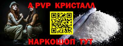 крисы Кингисепп