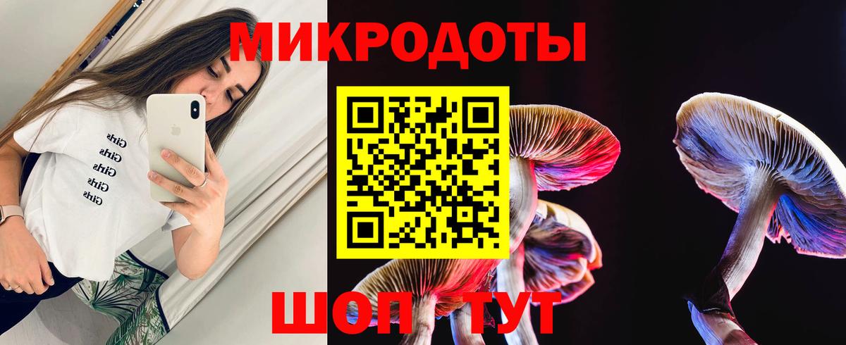 Псилоцибиновые грибы Psilocybe Красный Сулин