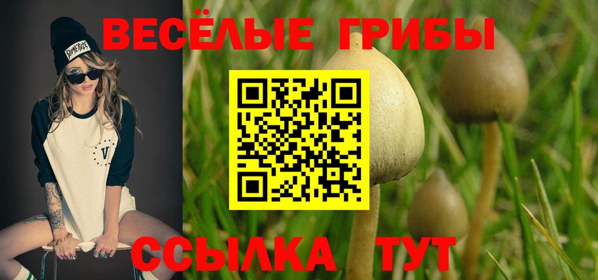Псилоцибиновые грибы GOLDEN TEACHER  Псилоцибиновые грибы MAGIC MUSHROOMS  Красный Сулин  Вход с VPN 